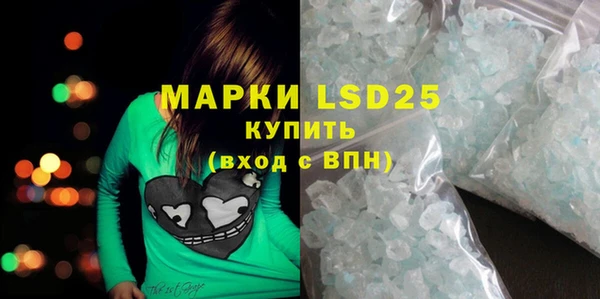 ПСИЛОЦИБИНОВЫЕ ГРИБЫ Аркадак