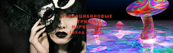 крисы Балахна
