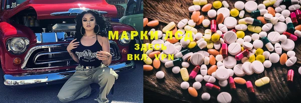 ПСИЛОЦИБИНОВЫЕ ГРИБЫ Аркадак
