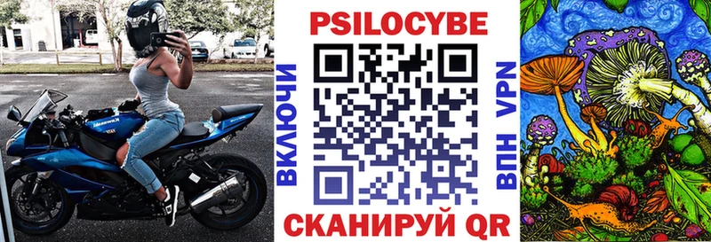 OMG   Судак  Галлюциногенные грибы прущие грибы 